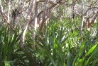 Cape Aridpermaculture-7.jpg; ?>